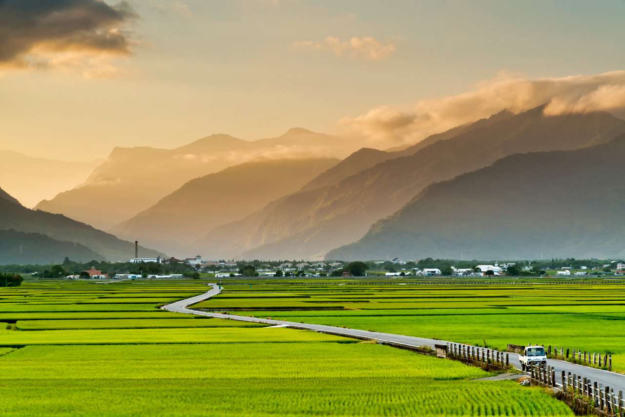 Krajobraz Widok Pól Ryżowych W Chishang, Taitung, Tajwan. puzzle online