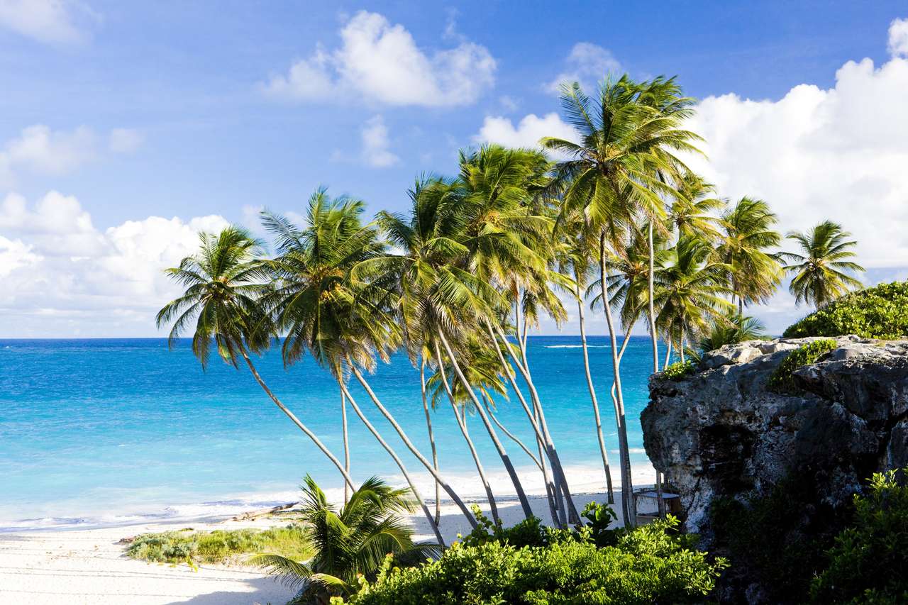 Bottom Bay, Barbados, Karaiby puzzle online