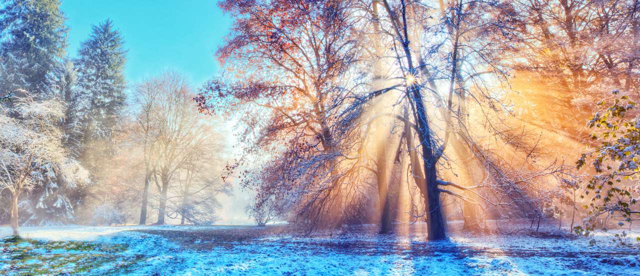 Piękne poranne promienie słońca w zimowym lesie z niesamowitymi promieniami słońca we mgle puzzle online ze zdjęcia