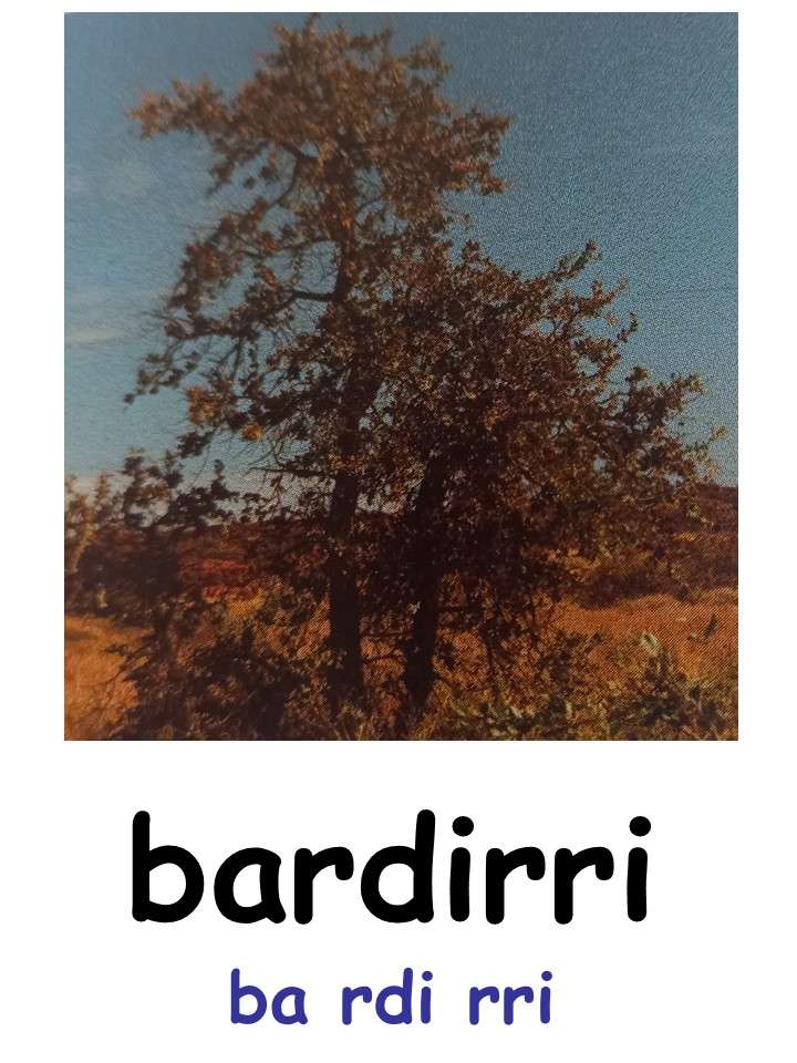 bardirri puzzle online