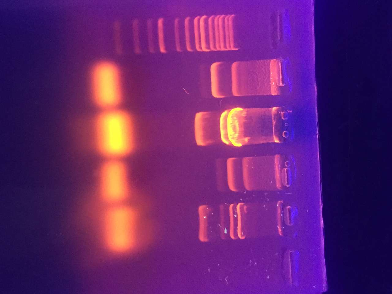 elektroforeza żelowa DNA puzzle online ze zdjęcia