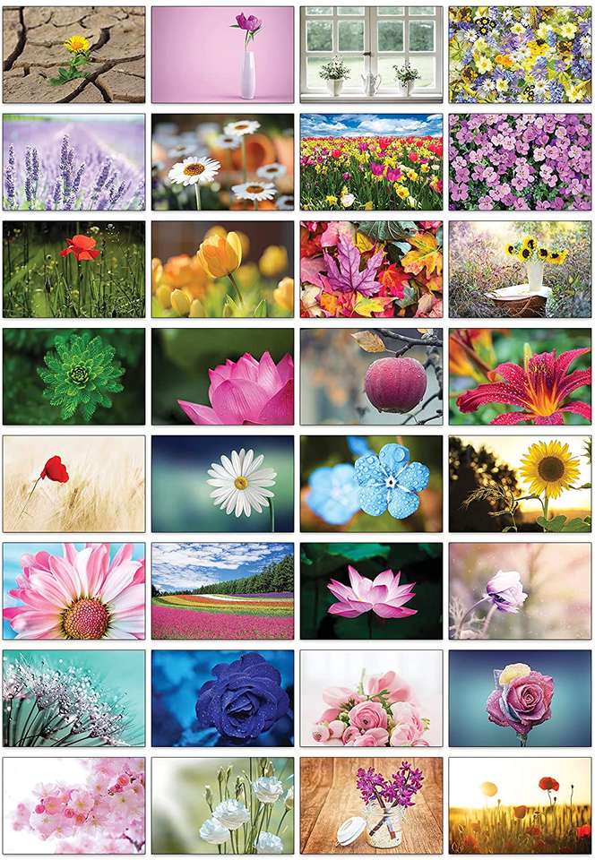 Kwiatowo puzzle online ze zdjęcia