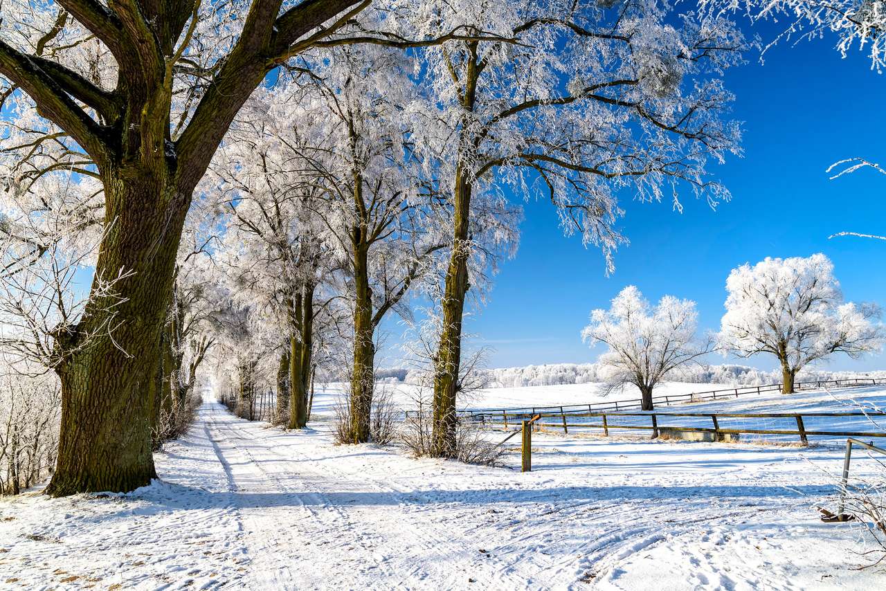 śnieżny krajobraz zimą na Mazurach puzzle ze zdjęcia