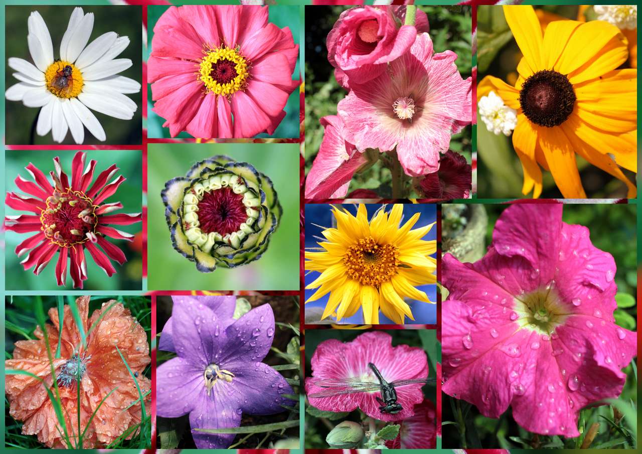kwiaty dla Basi puzzle online