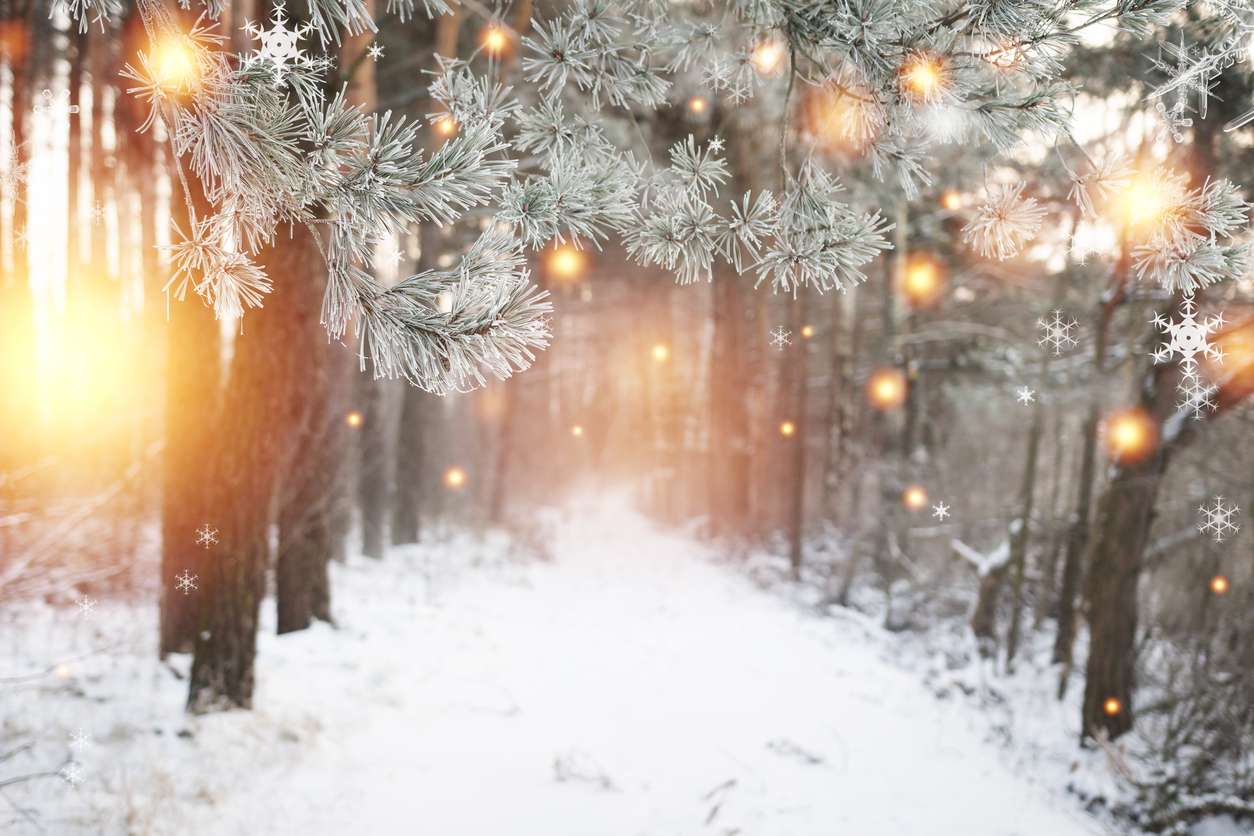 Zimowe światła puzzle online ze zdjęcia