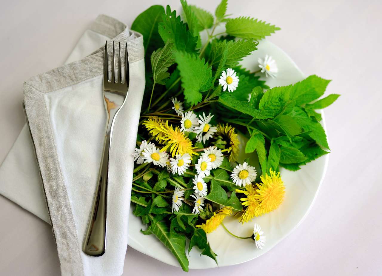 Pokarm dla kwiatów puzzle online ze zdjęcia