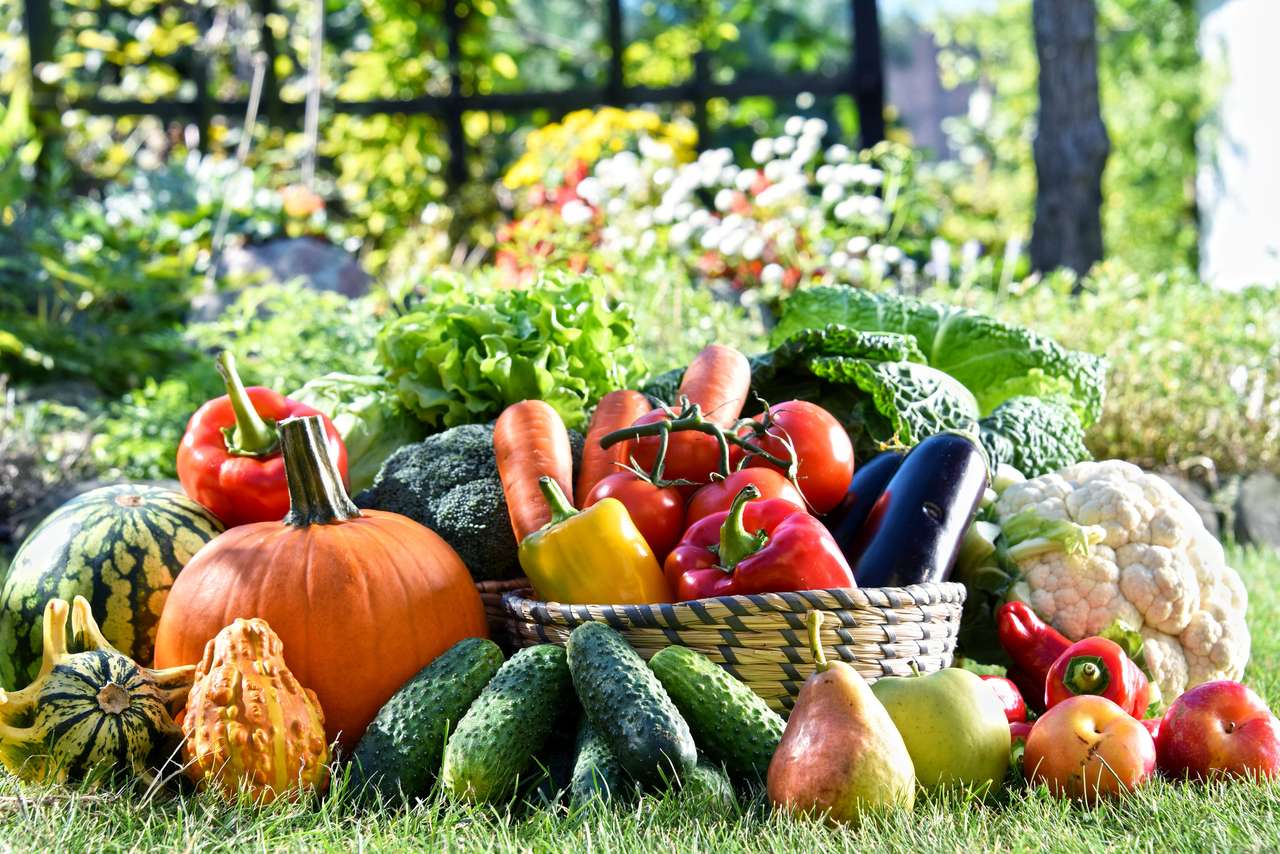 Świeże organiczne warzywa i owoce puzzle online ze zdjęcia
