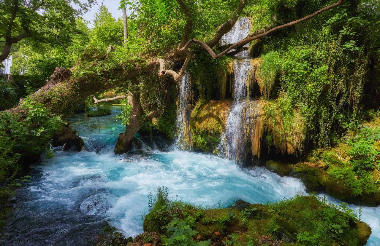 piękny wapienny las wodospadowy z miękką wodą puzzle online