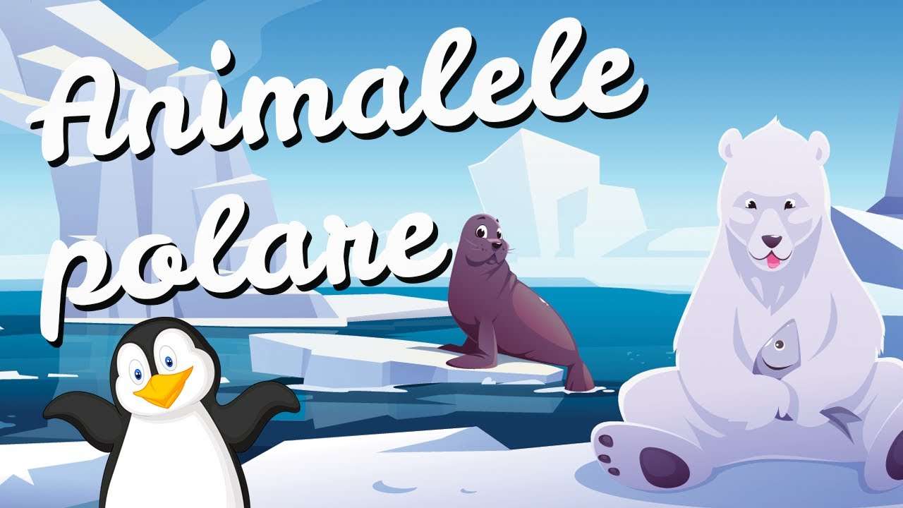 Animalele polare puzzle online