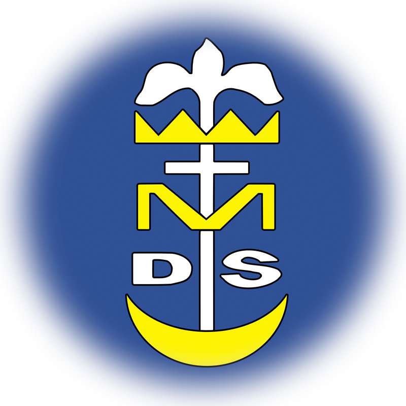 DSM logo puzzle online ze zdjęcia