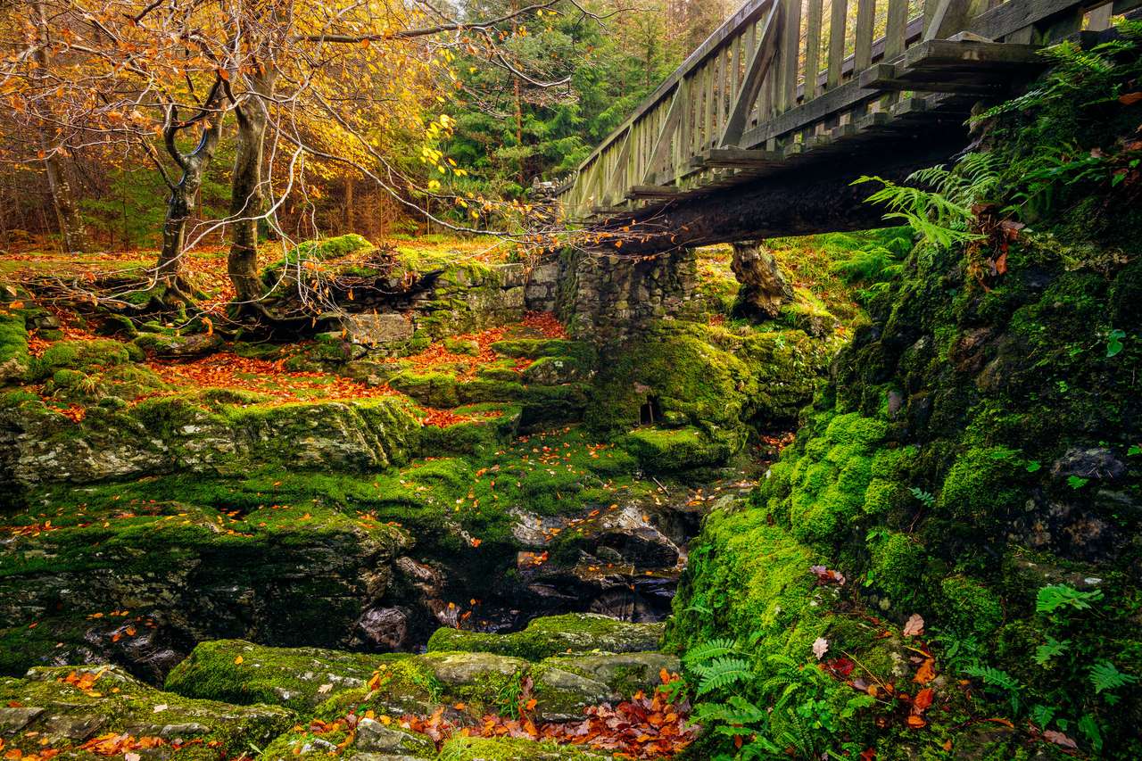 Kaskady pod drewnianym mostem na górskim potoku puzzle online ze zdjęcia