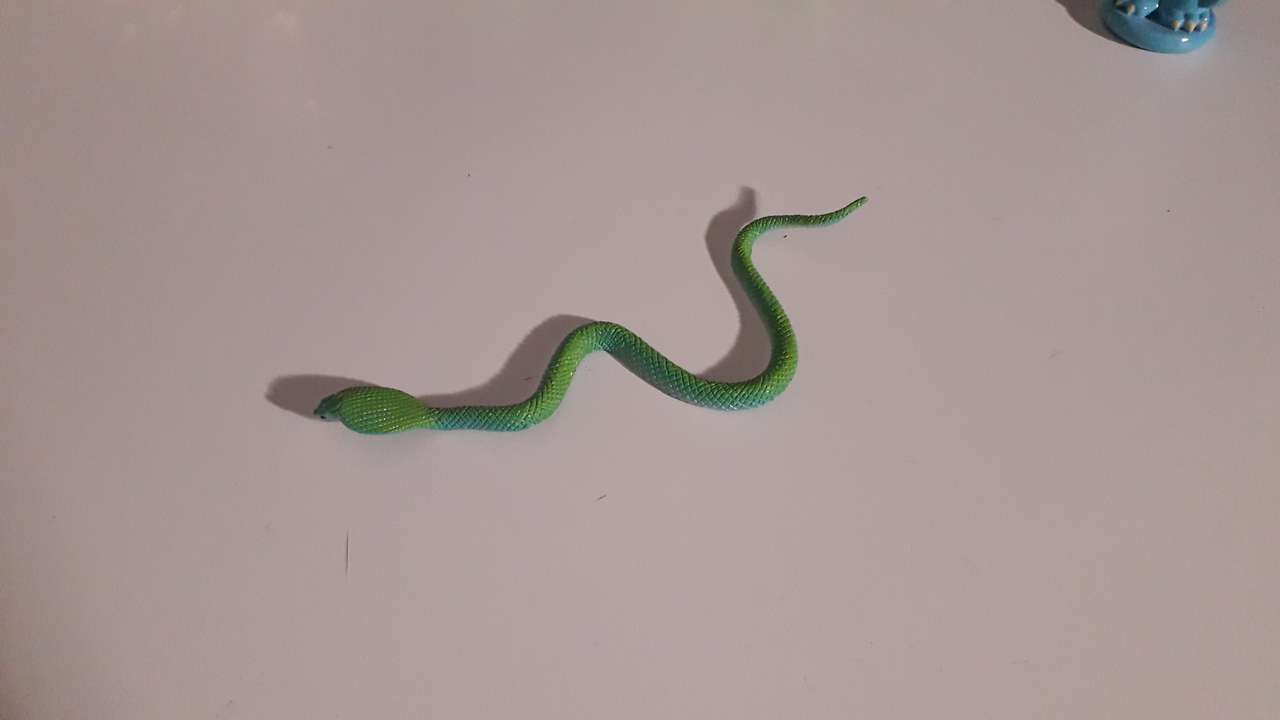 Zielony wąż na białym stole puzzle online