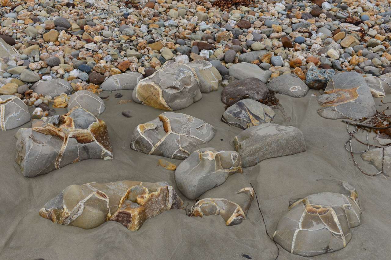 Plaża Moeraki Boulders puzzle online ze zdjęcia
