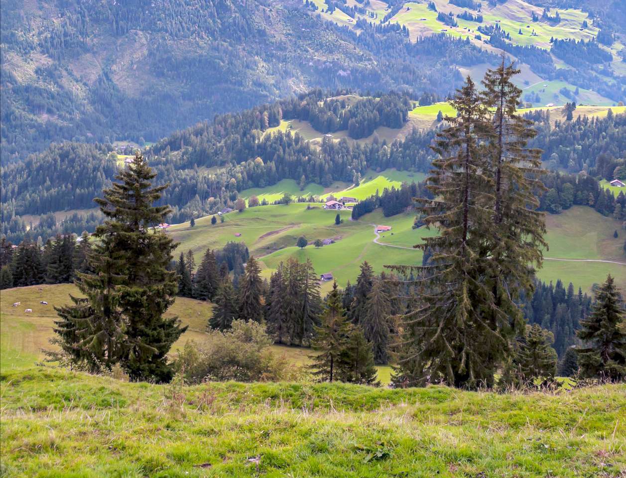 Alpy w Szwajcarii puzzle online ze zdjęcia
