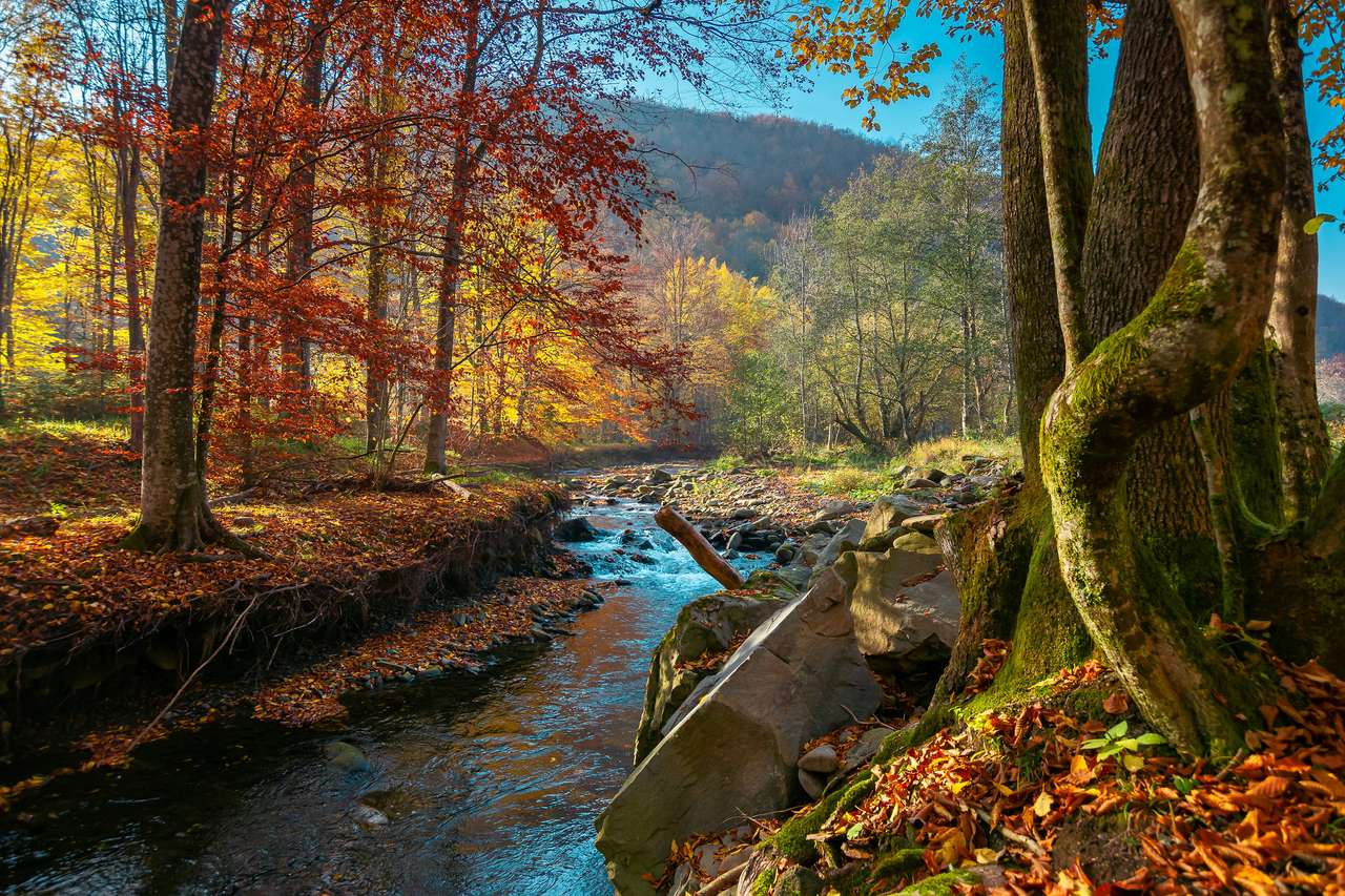 górska rzeka w jesiennym lesie puzzle