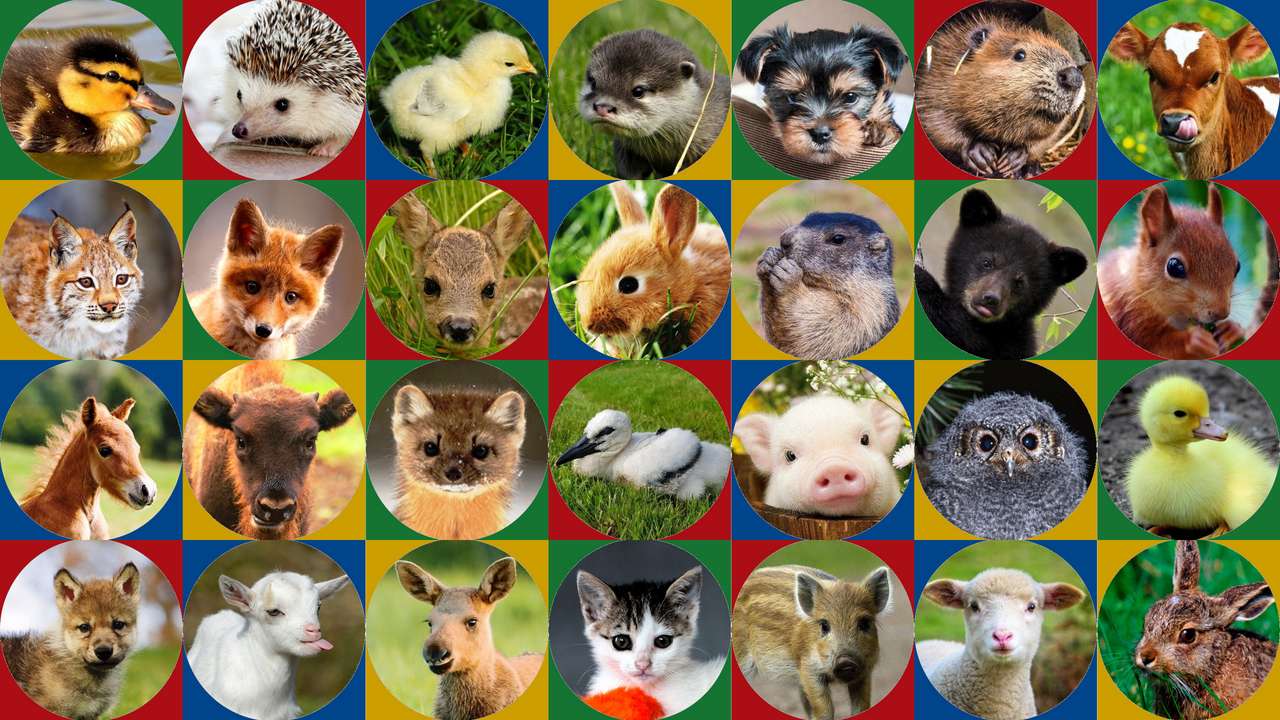 Zwierzęta - dzieci puzzle online ze zdjęcia