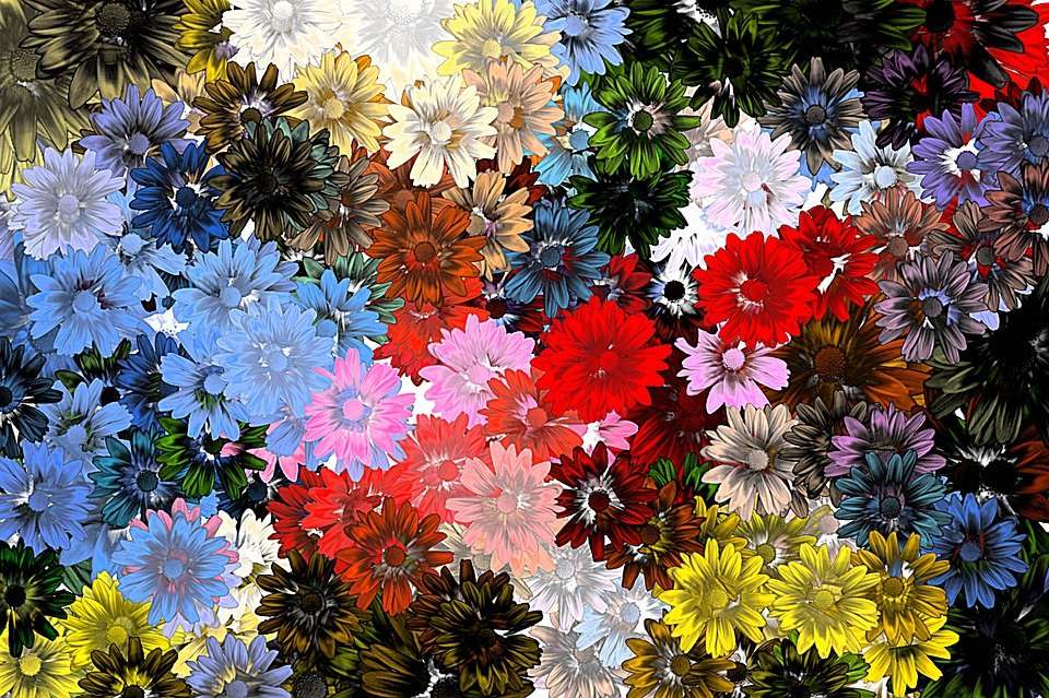 Kwiaty i kolory puzzle