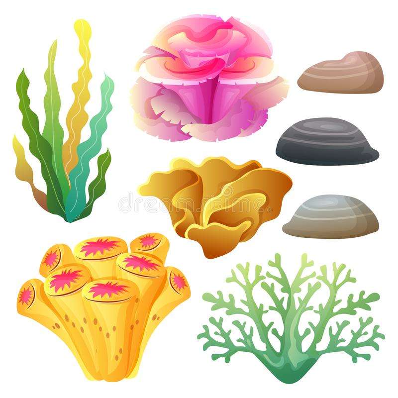 typy koralowców puzzle online ze zdjęcia