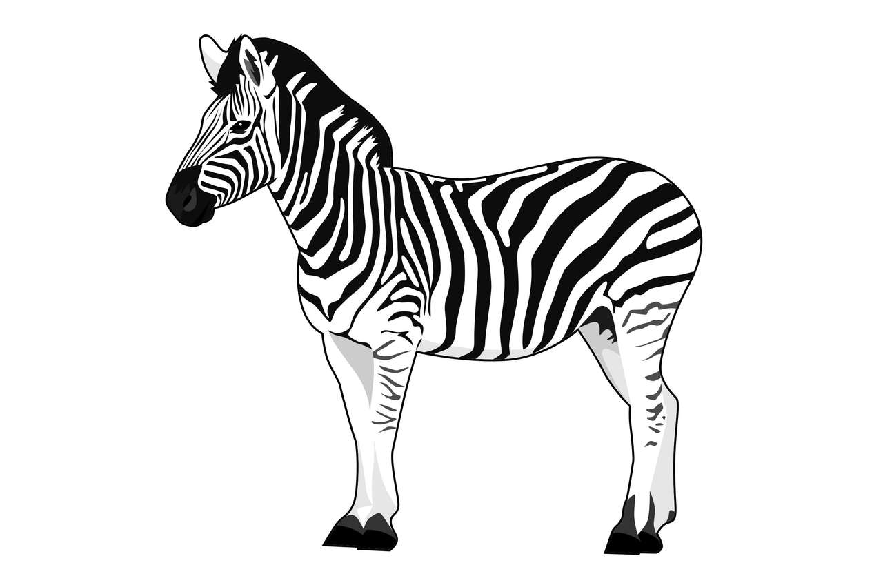Zebra Captarea atenţiei puzzle online