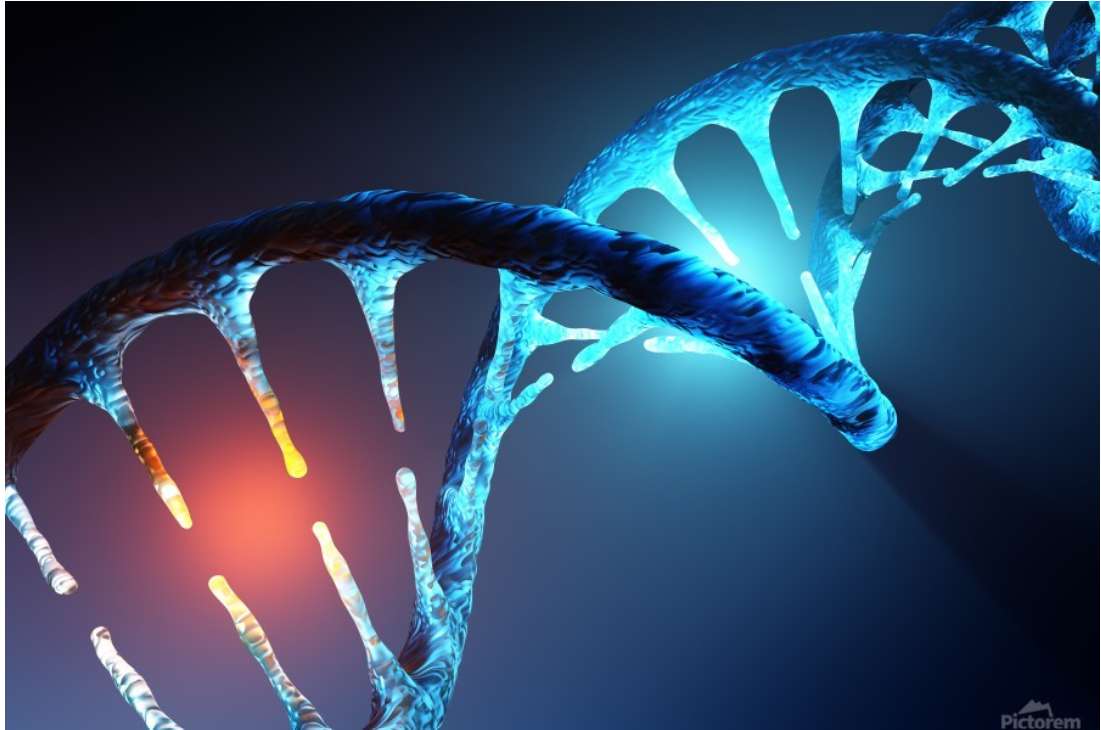Śledzenie DNA puzzle online