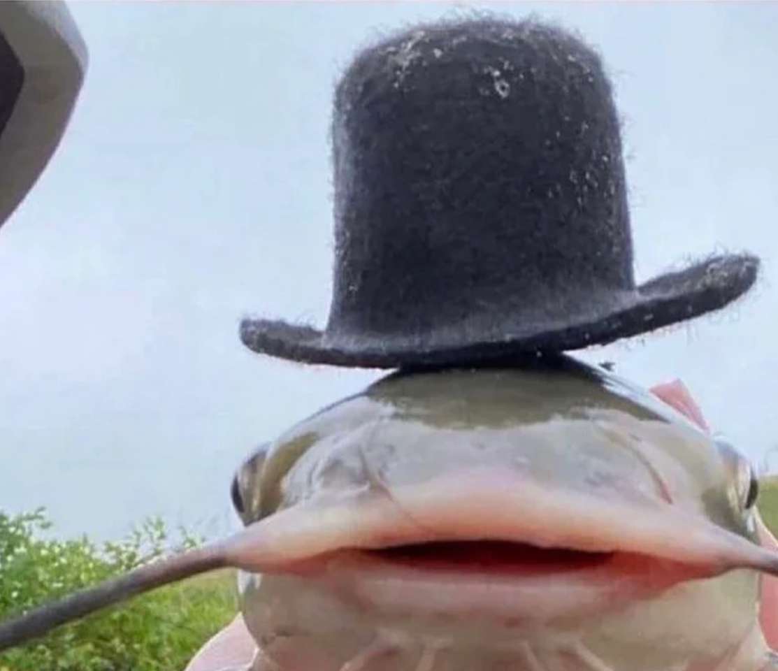 Ryba w kapeluszu puzzle ze zdjęcia