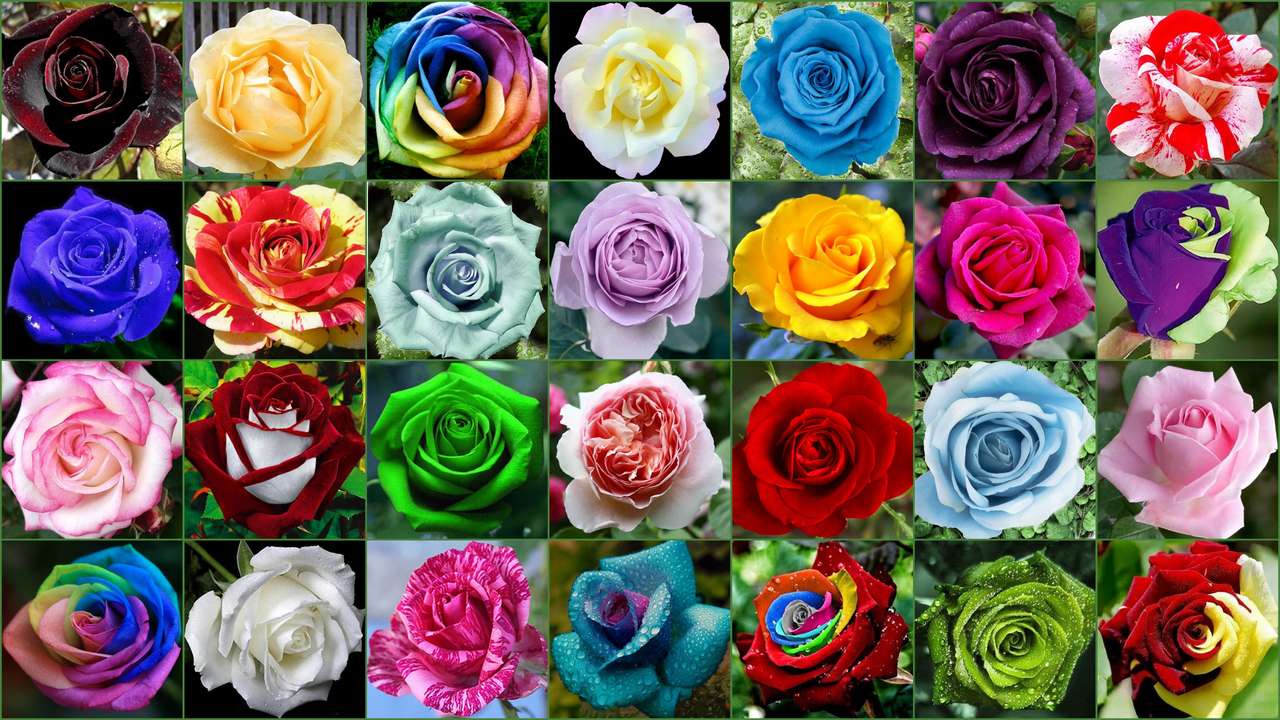 Róże - kwiaty puzzle online ze zdjęcia