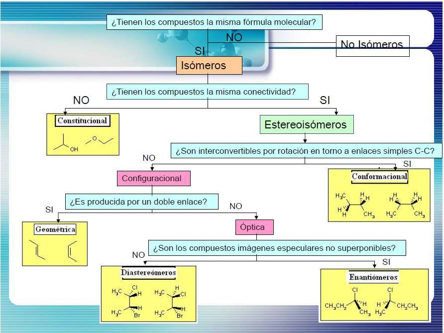 izomeria puzzle online