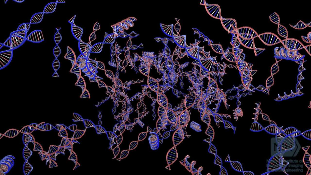 GENETYKA DNA puzzle online