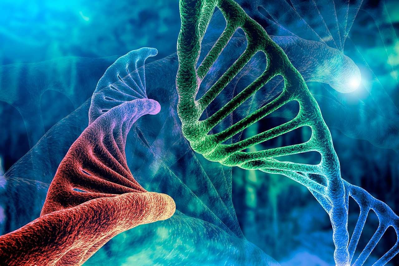GENETYKA DNA puzzle online ze zdjęcia