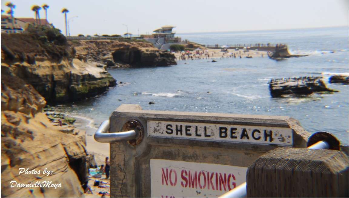 Plaża dla dzieci, La Jolla, Kalifornia puzzle online ze zdjęcia