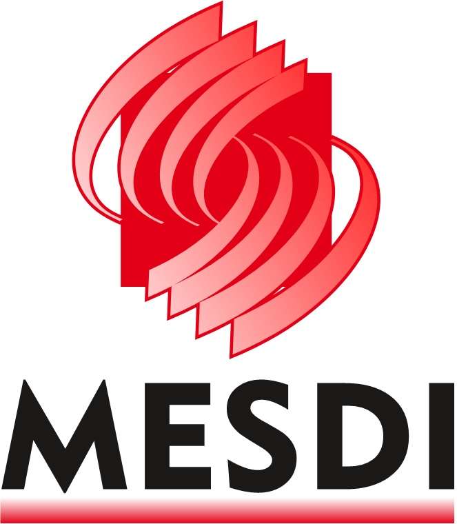 Logo Mesdi puzzle online