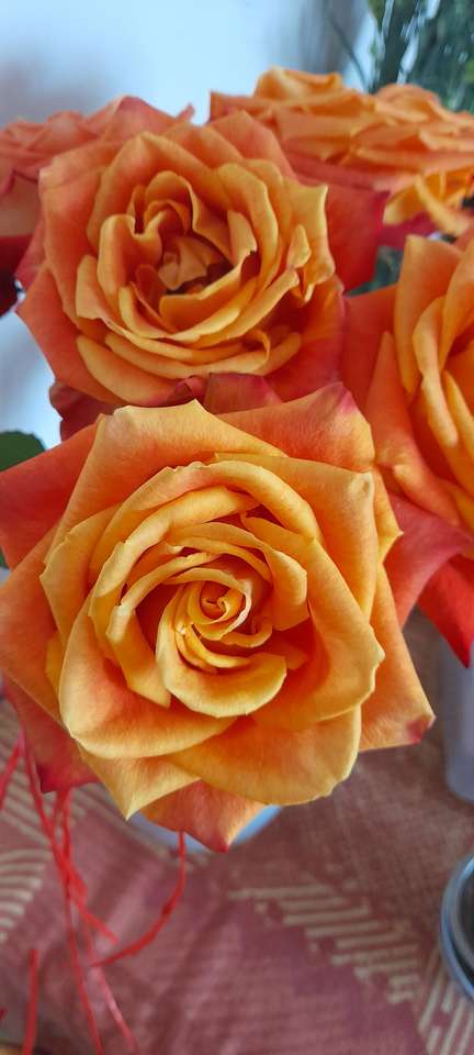 Piękne róże puzzle online
