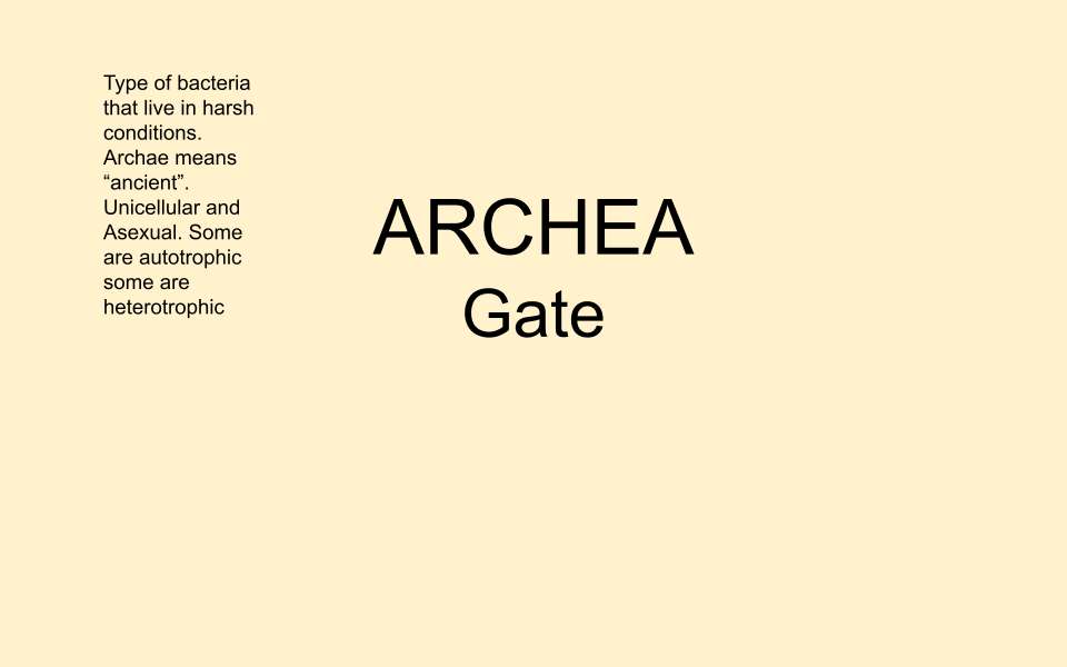 Notatki Archea puzzle online ze zdjęcia