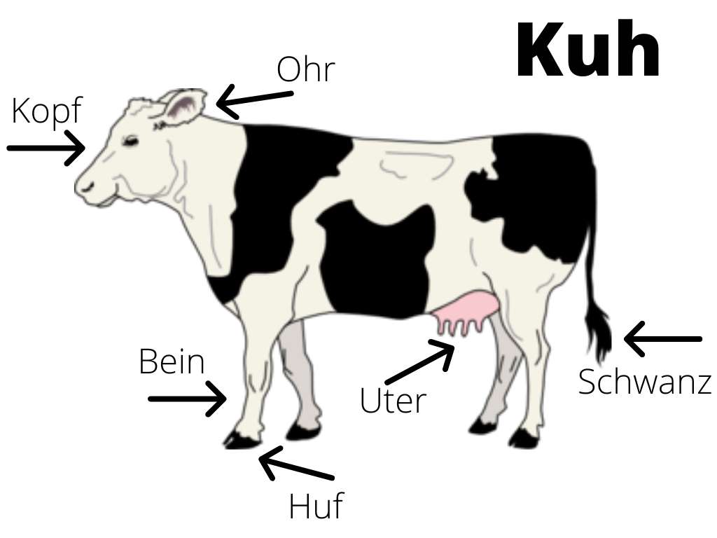 Puzzle niemieckie krowy puzzle online ze zdjęcia