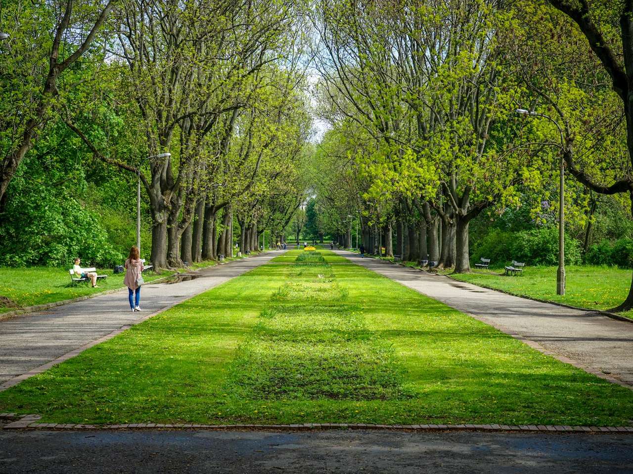 Jakiś tam fajny zielony park puzzle online ze zdjęcia