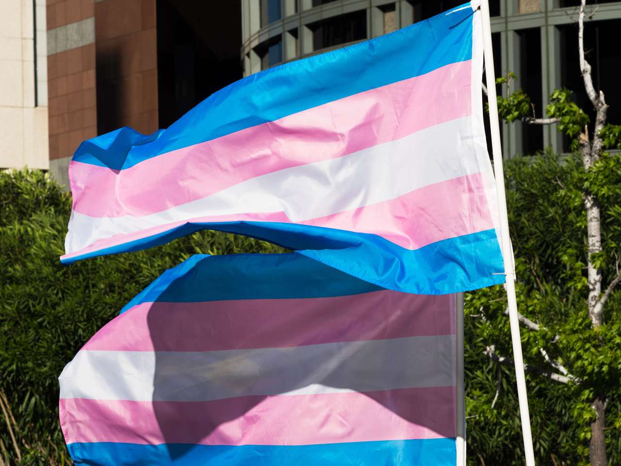 Flaga Trans puzzle online ze zdjęcia
