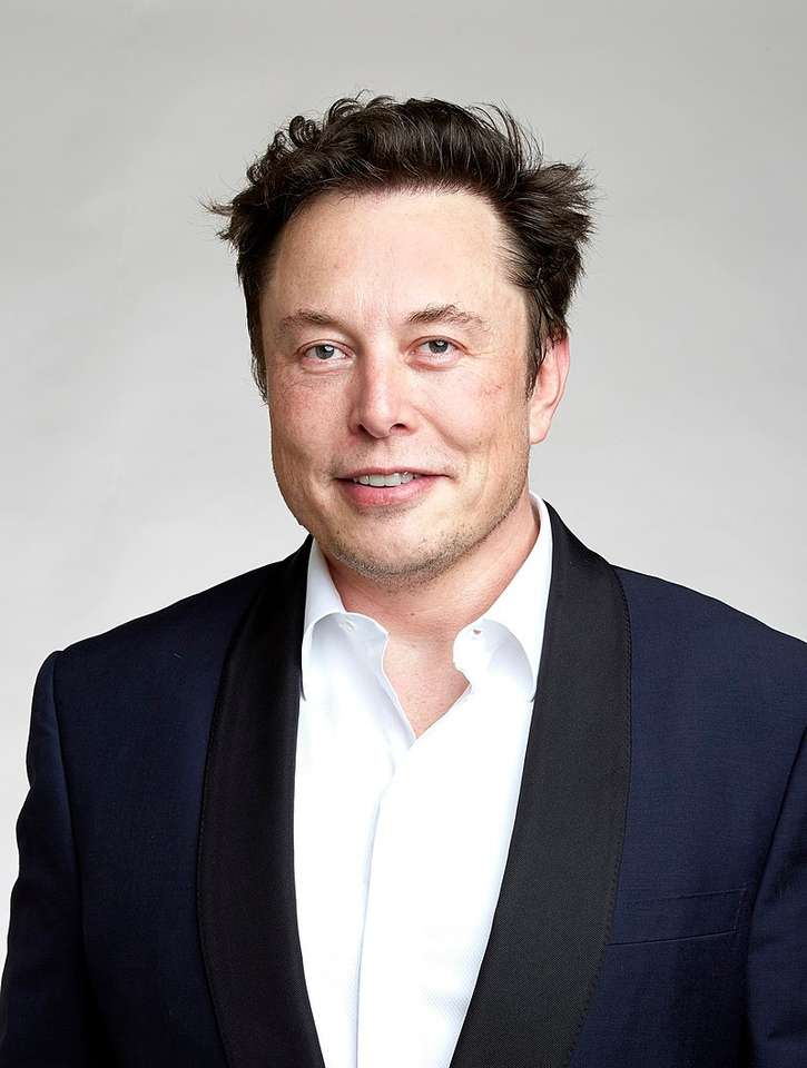 Elon Musk puzzle online ze zdjęcia