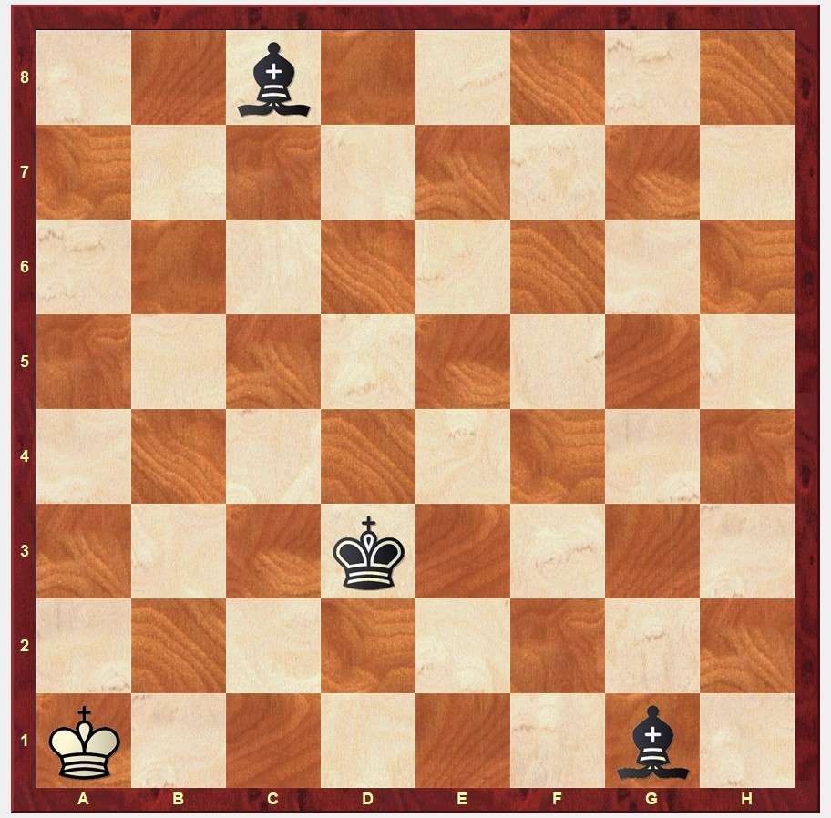 Xadrez - Mate com 2 Bispos puzzle online ze zdjęcia