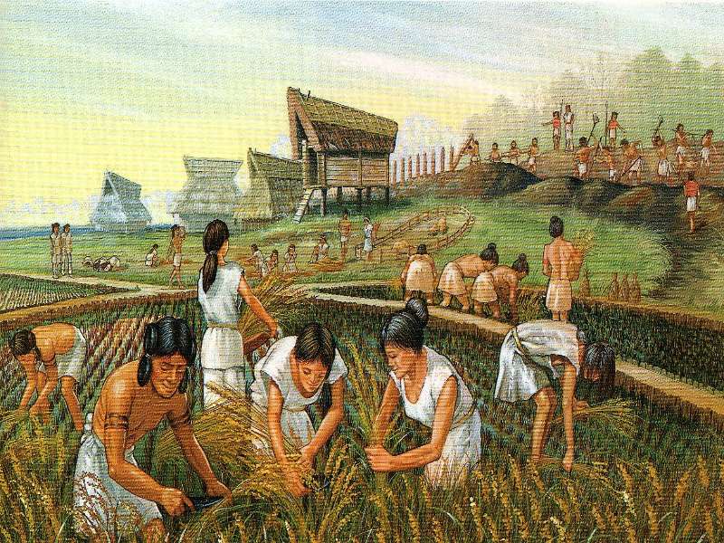 Cultura Maya - Agricultura puzzle online ze zdjęcia