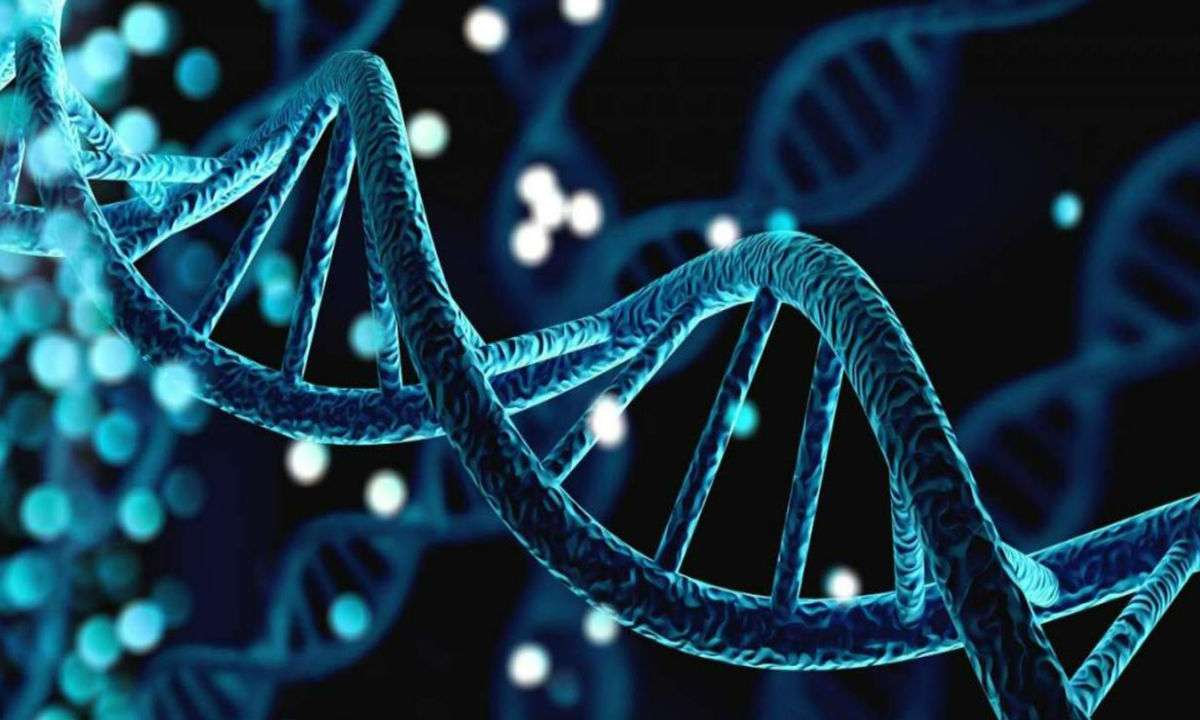 Struktura DNA puzzle online ze zdjęcia