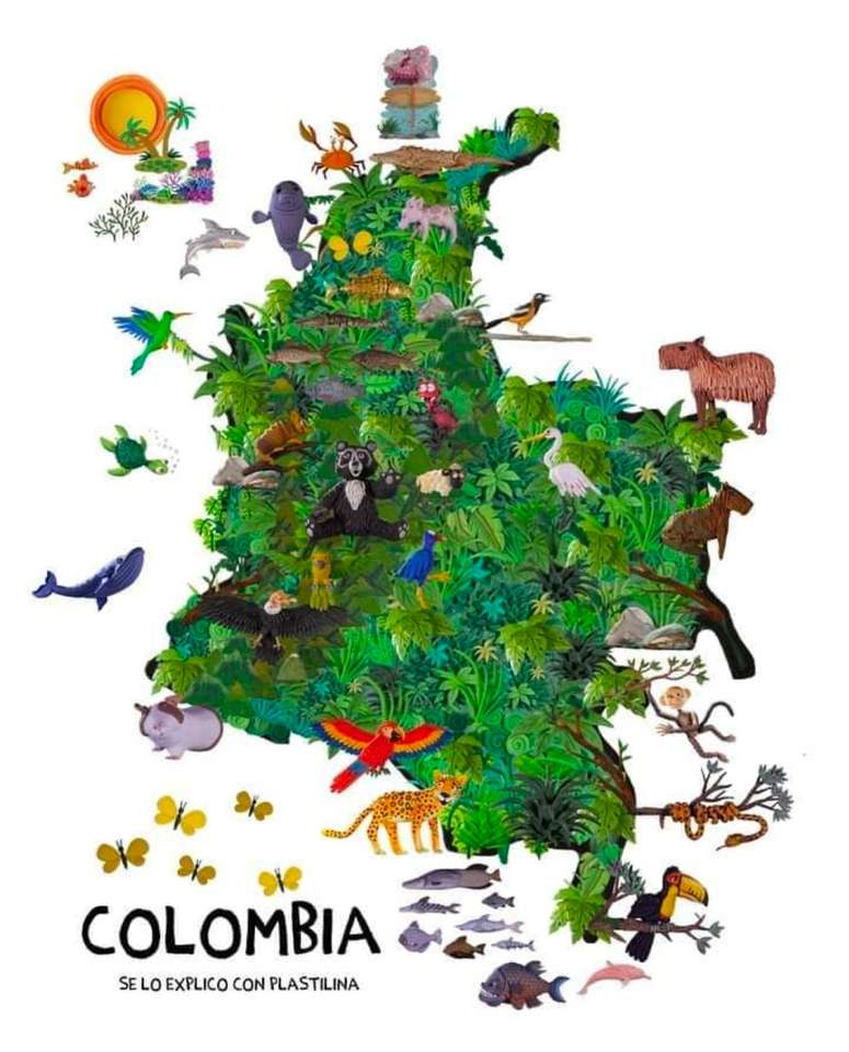 Kolumbijskie zwierzę puzzle online