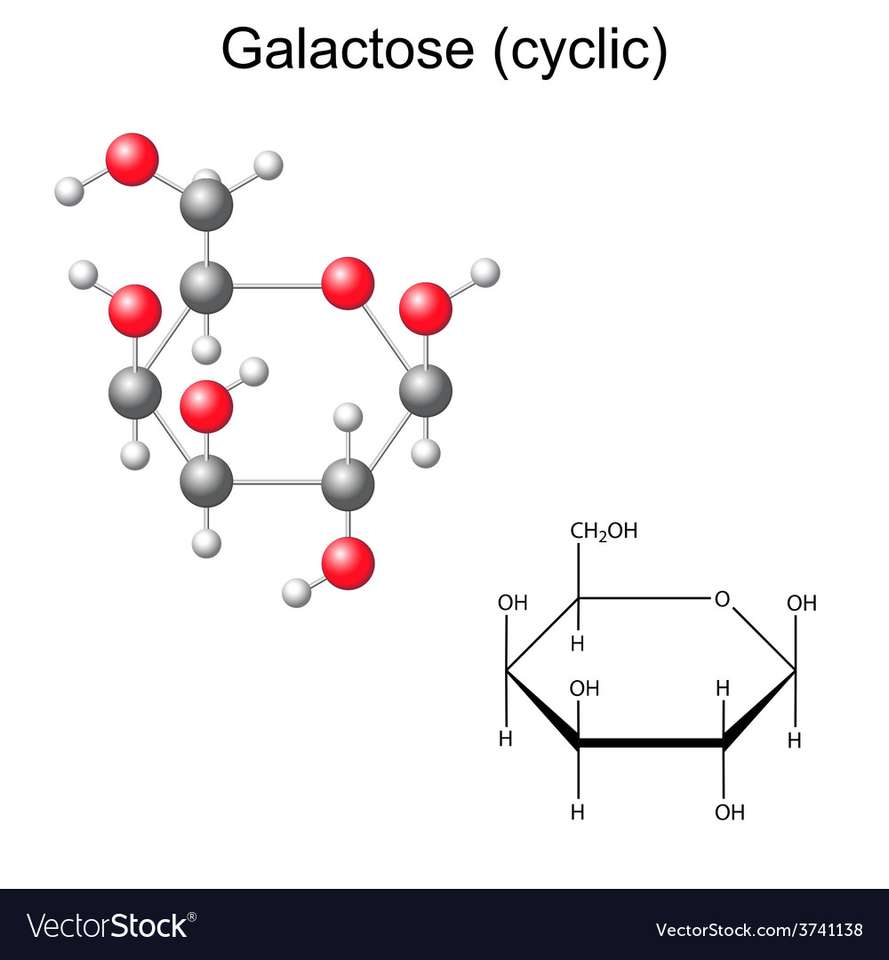 Galaktoza jest amonemem w polisacharydzie puzzle online ze zdjęcia