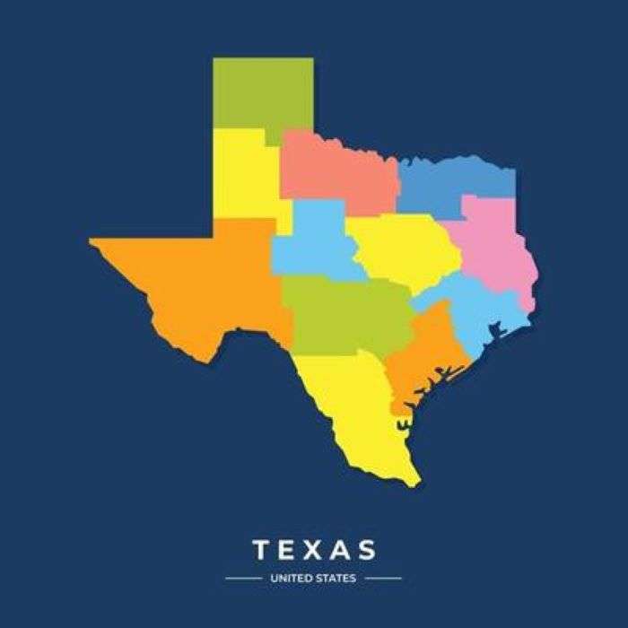 Konsorcjum Różnorodności w Teksasie puzzle online ze zdjęcia