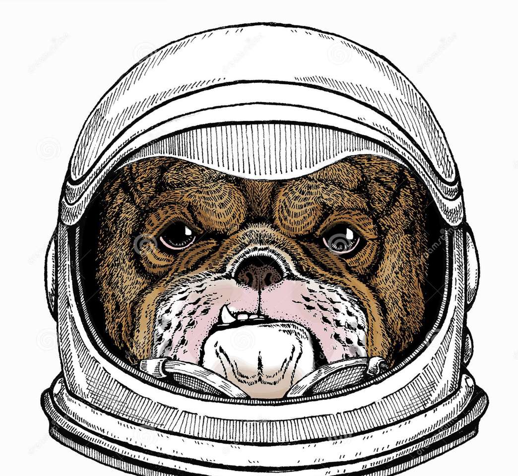 Kosmiczny pies puzzle online ze zdjęcia
