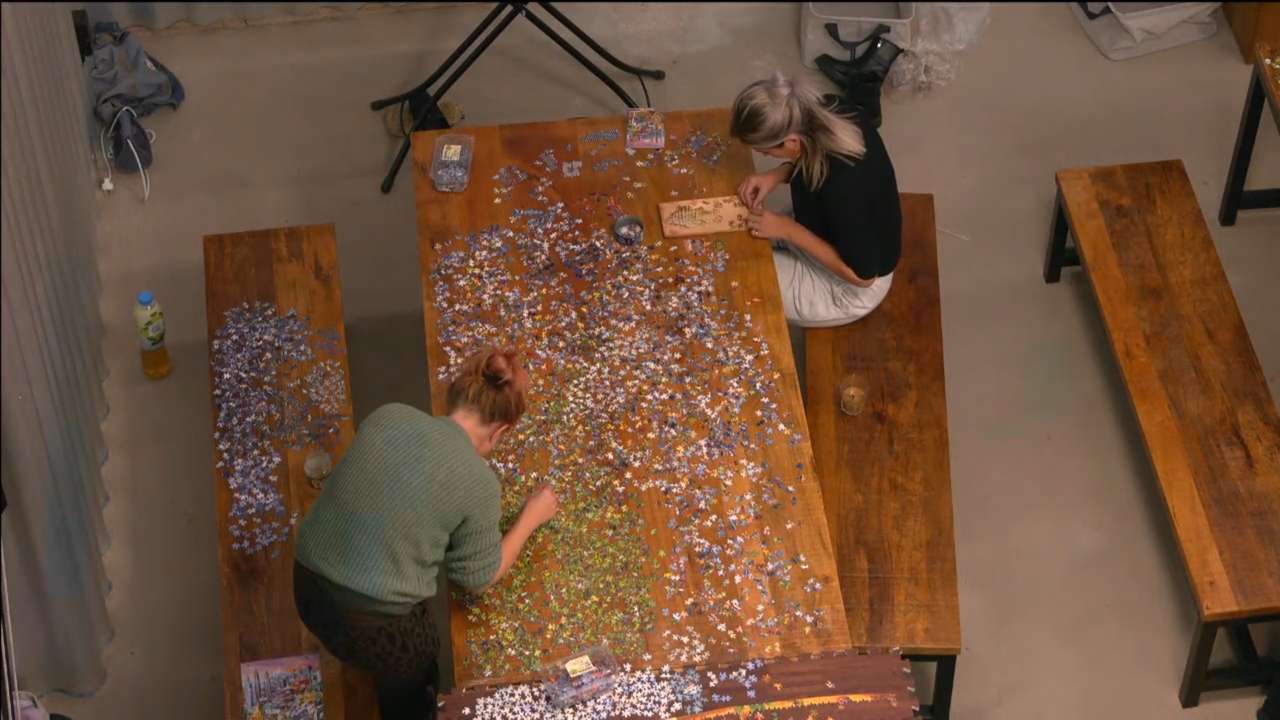 Een jaar van je leven puzzle online ze zdjęcia