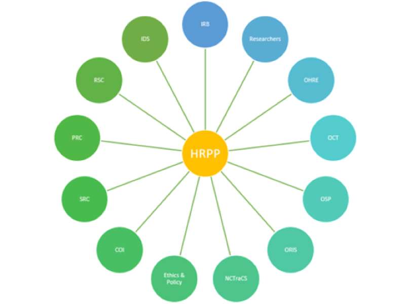 Łamigłówki HRPP puzzle online ze zdjęcia
