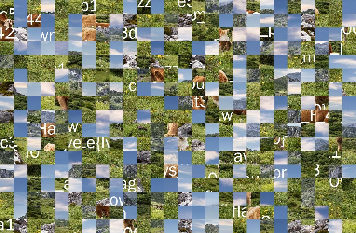 fsdfcxcx puzzle online