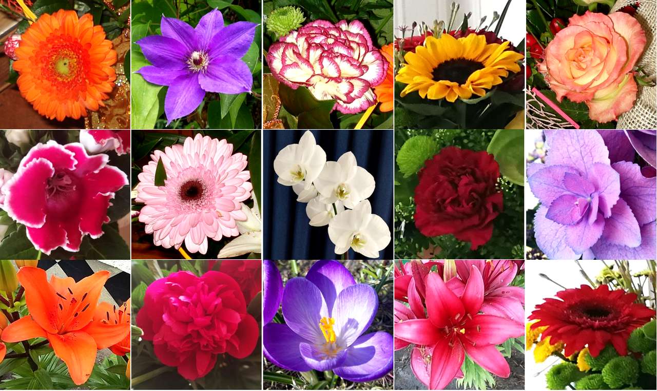 Kolorowe kwiaty puzzle online