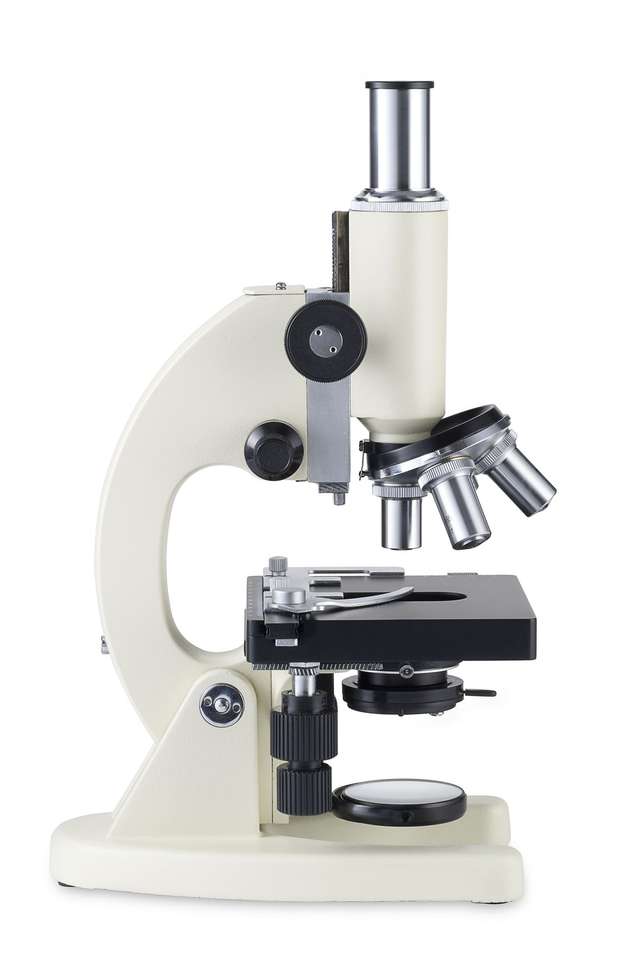 mikroskop puzzle online ze zdjęcia