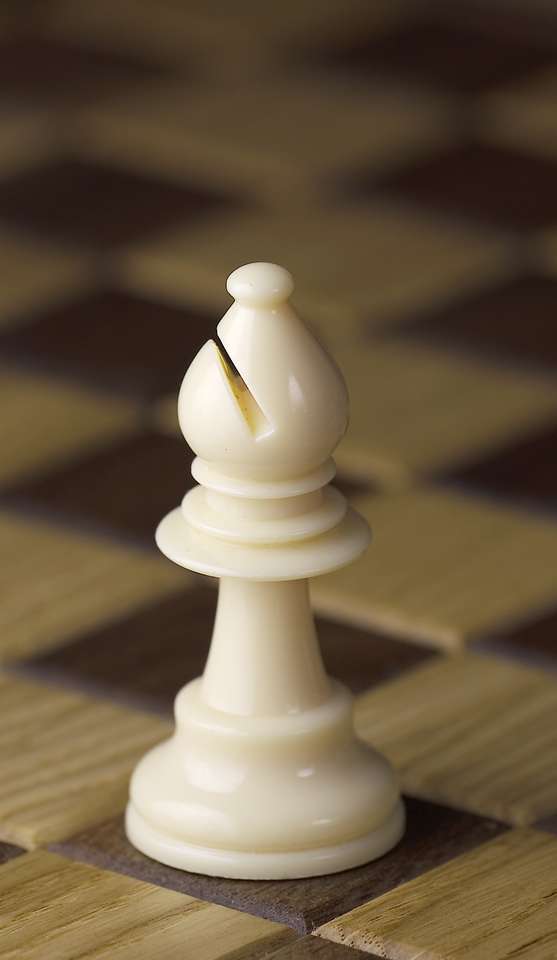 Bierka szachowa puzzle online ze zdjęcia